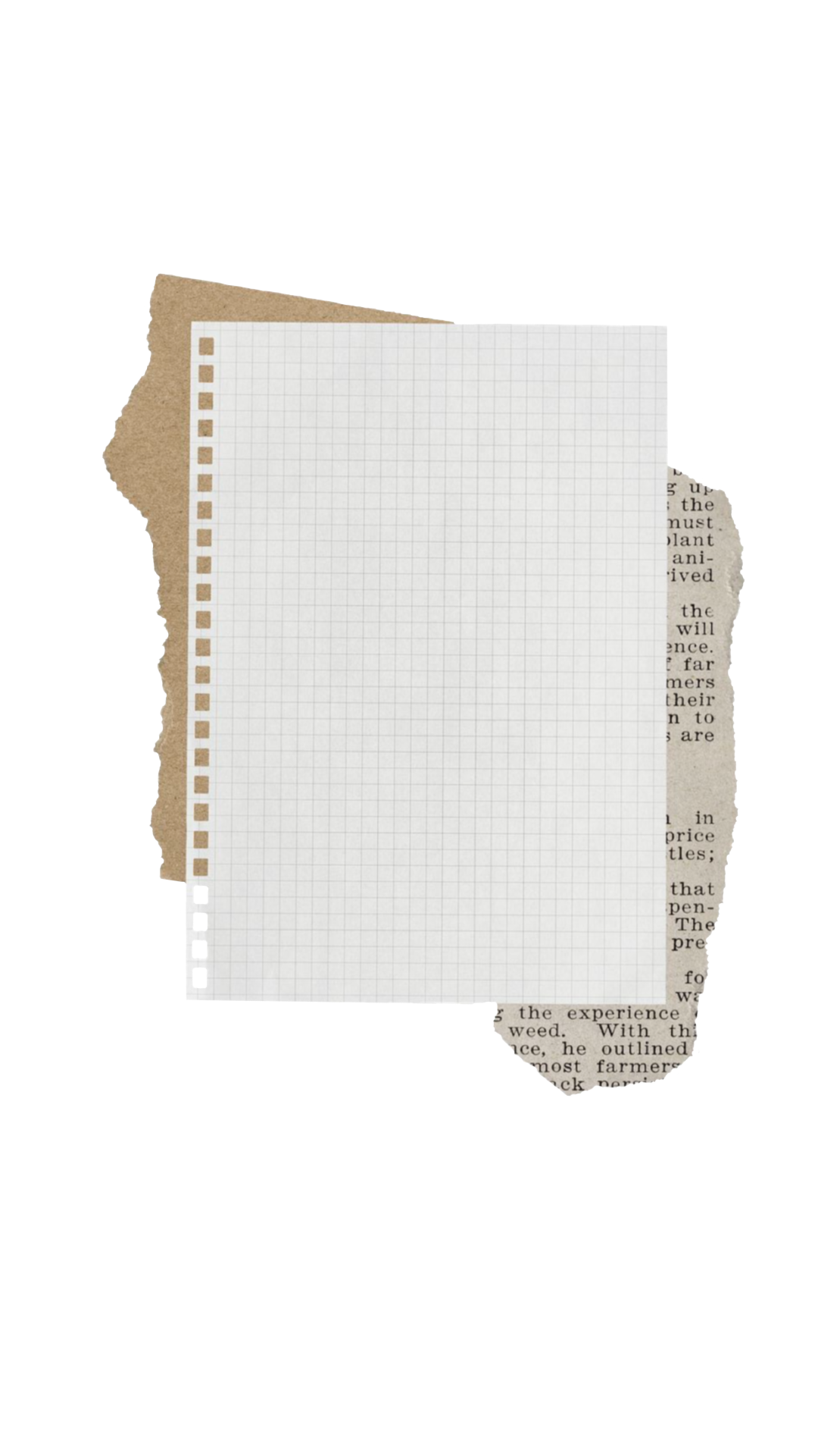 Wedding Invitation Paper